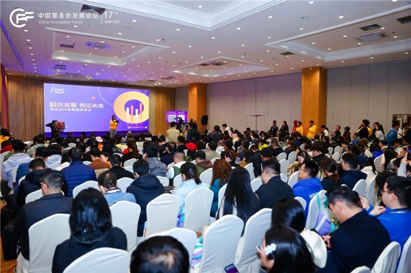 中国基金会行业数据发布会揭示行业发展新动向