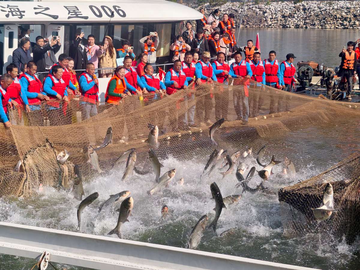 第二届江西渔文化暨武宁庐山西海秋冬捕捞活动盛大启幕