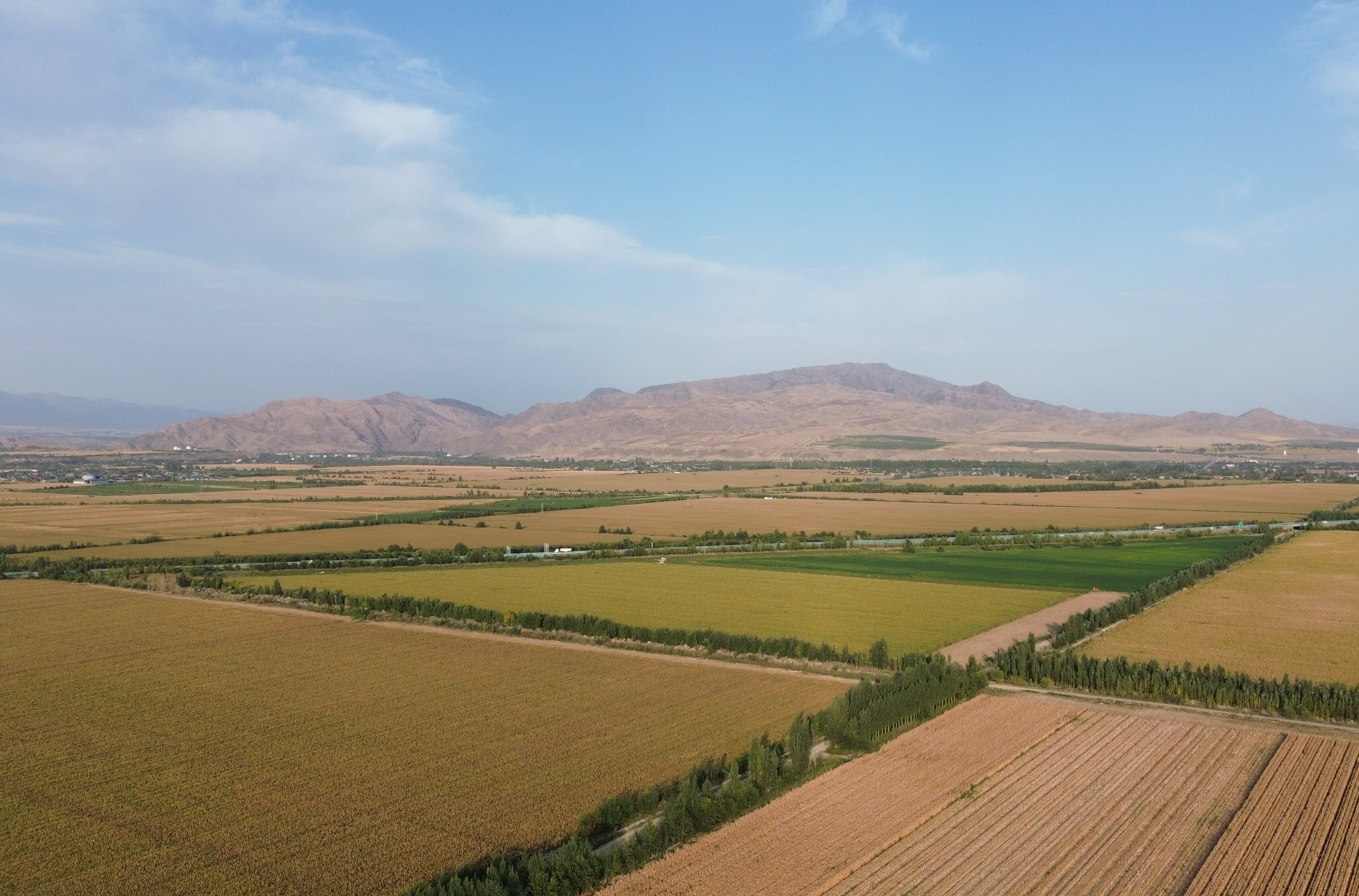 中淼农业扎根边疆沃土 以“粮芯报国”