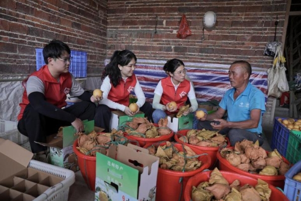 赫兹乐购助力乡村振兴，打造数字新基座