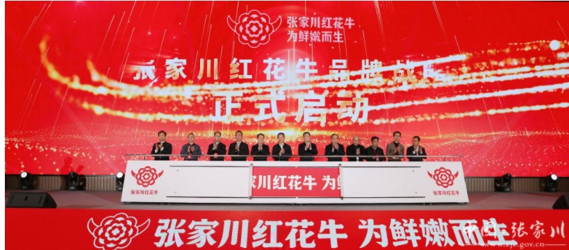 张家川红花牛品牌战略发布会盛大举行