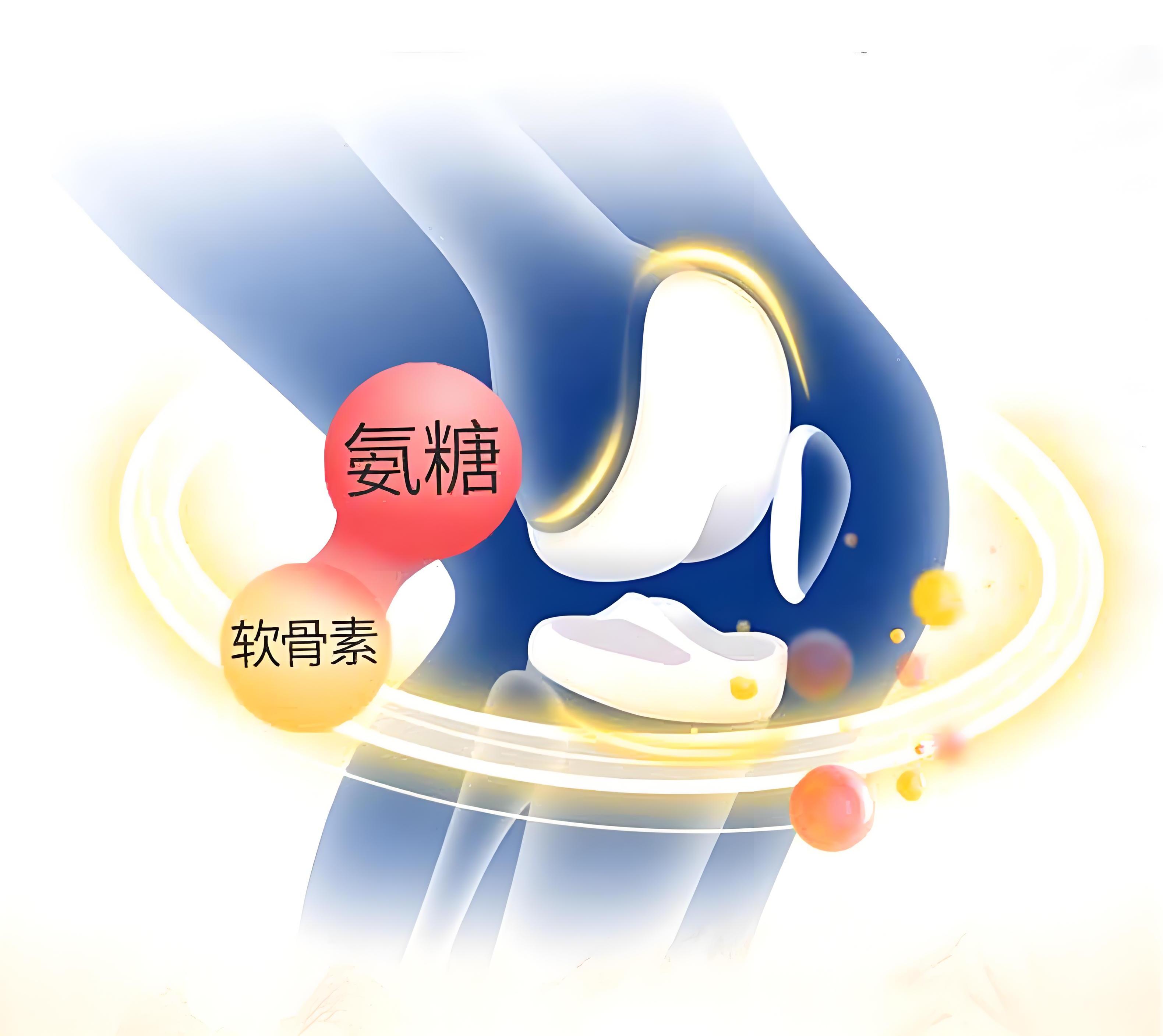 氨糖软骨素的功效与选购指南