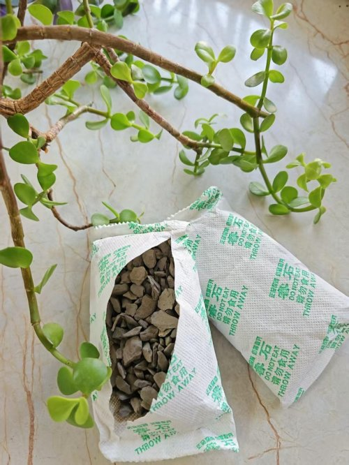 甲醛去除产品测评：光触媒、生物酶等除甲醛产品哪个更有效？