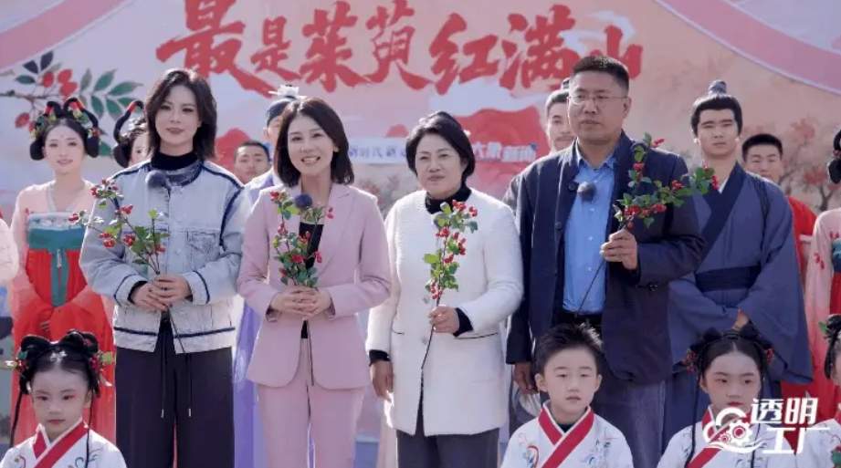 探访山茱萸的现代旅程：从传统文化意象到现代中药的蜕变