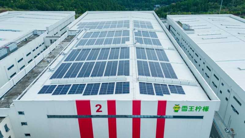 潼南光伏项目赋能柠檬产业，绿电引领川渝特色农业升级