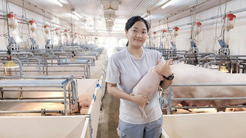 德康猪场的新星：小杨的坚守与成长之路