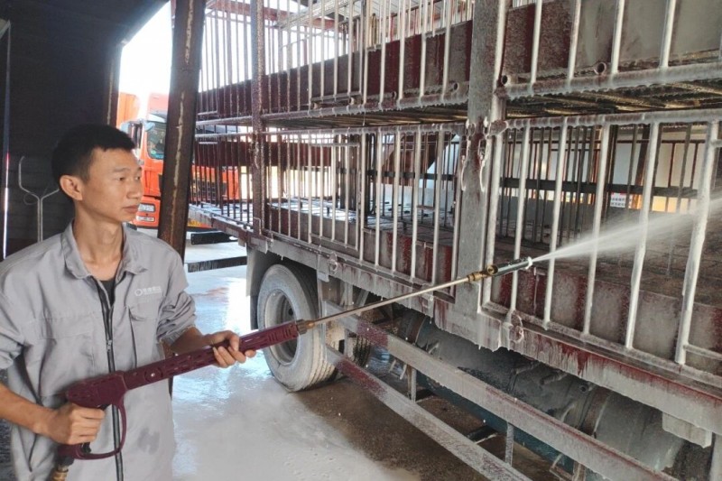 德康洗消站里的守护神：小杨的坚守与蜕变